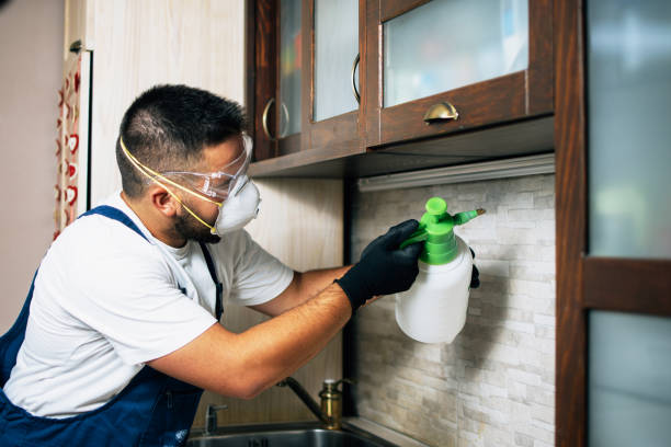 Best Wildlife Control Services  in Mmerce City, CO
