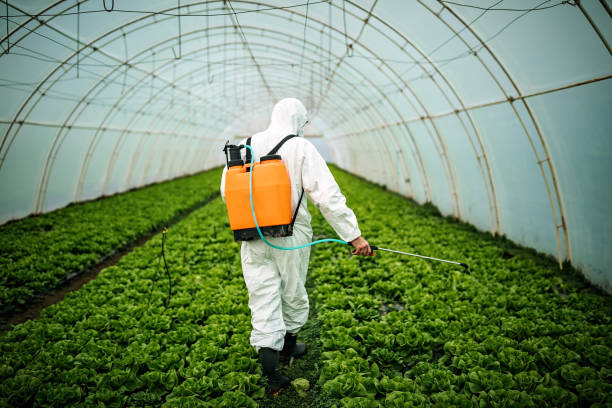Best Residential Pest Control  in Mmerce City, CO