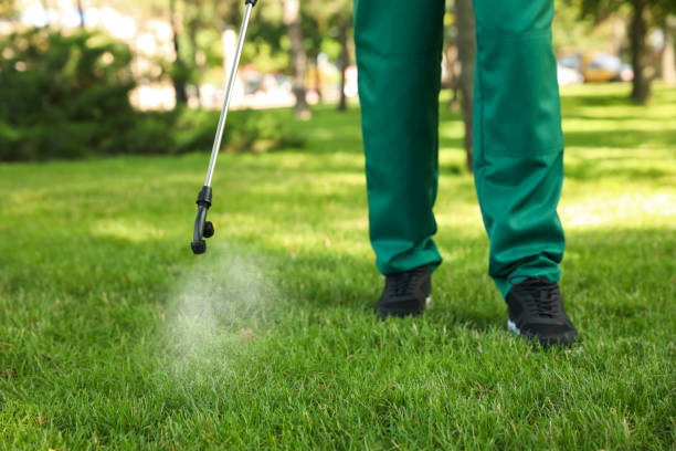 Best Flea Control Services  in Mmerce City, CO