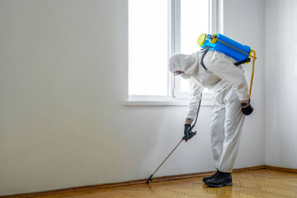 Best Termite Control Services  in Mmerce City, CO