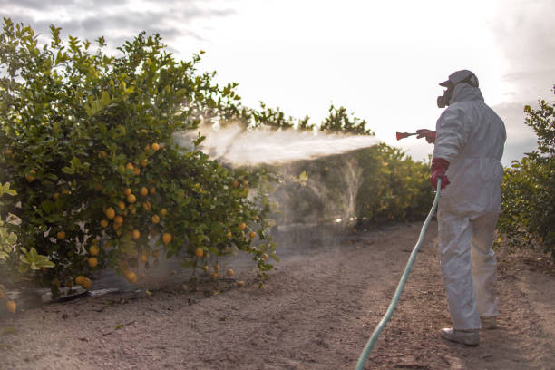 Pest Control Cost in Commerce City, CO