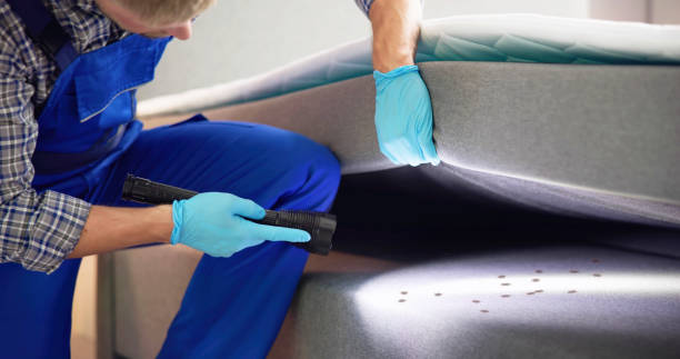 Best Affordable Pest Control Services  in Mmerce City, CO