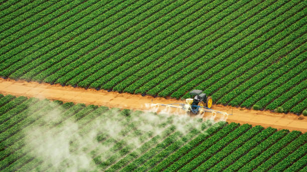 Reliable Commerce City, CO Pest Control Solutions