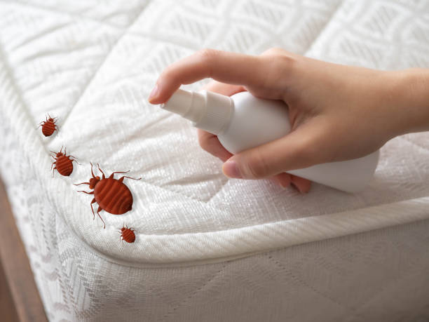 Best Best Pest Control Companies  in Mmerce City, CO