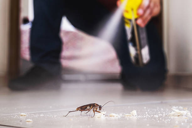 Best Affordable Pest Control Services  in Mmerce City, CO