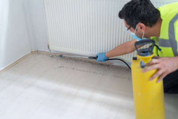 Pest Control for Restaurants in Commerce City, CO
