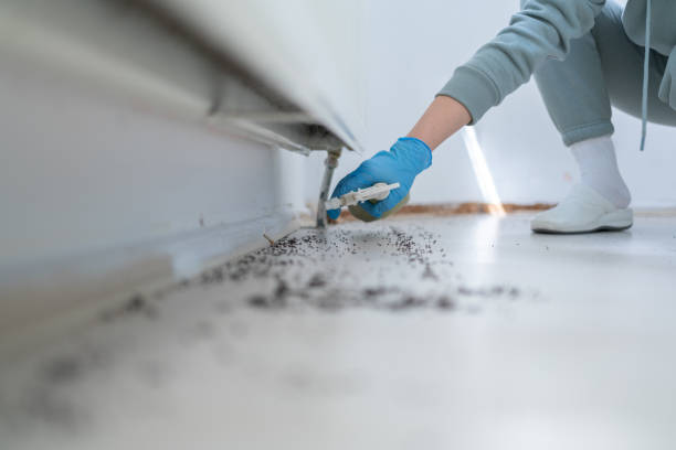Best Commercial Pest Control Services  in Mmerce City, CO